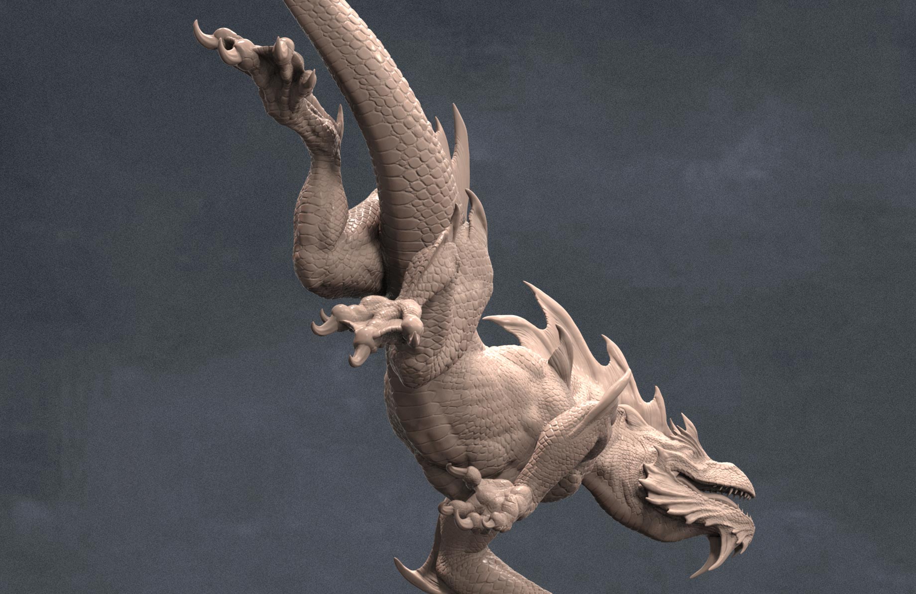 S_rathaless_detail_3.jpg