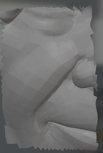file3.jpg