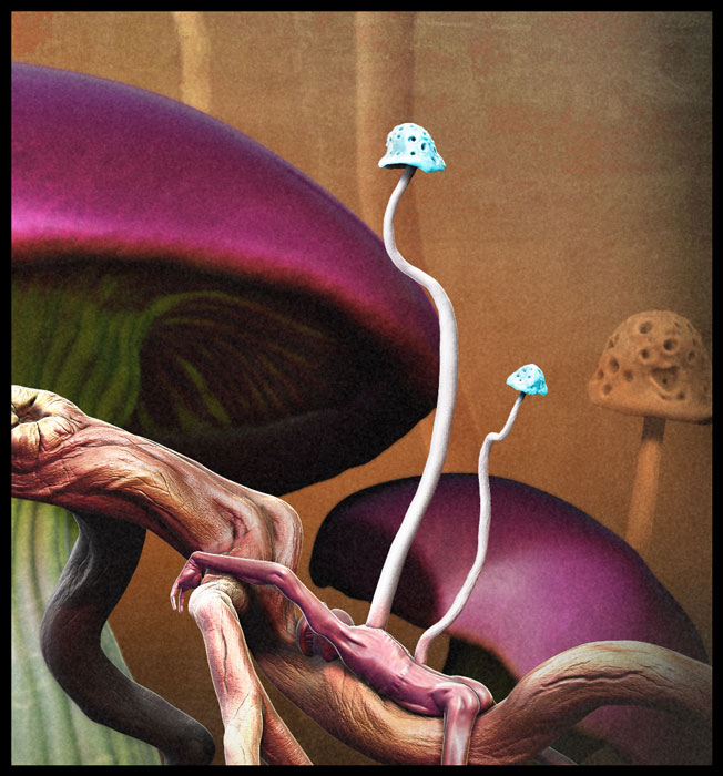 Final_web_part01.jpg