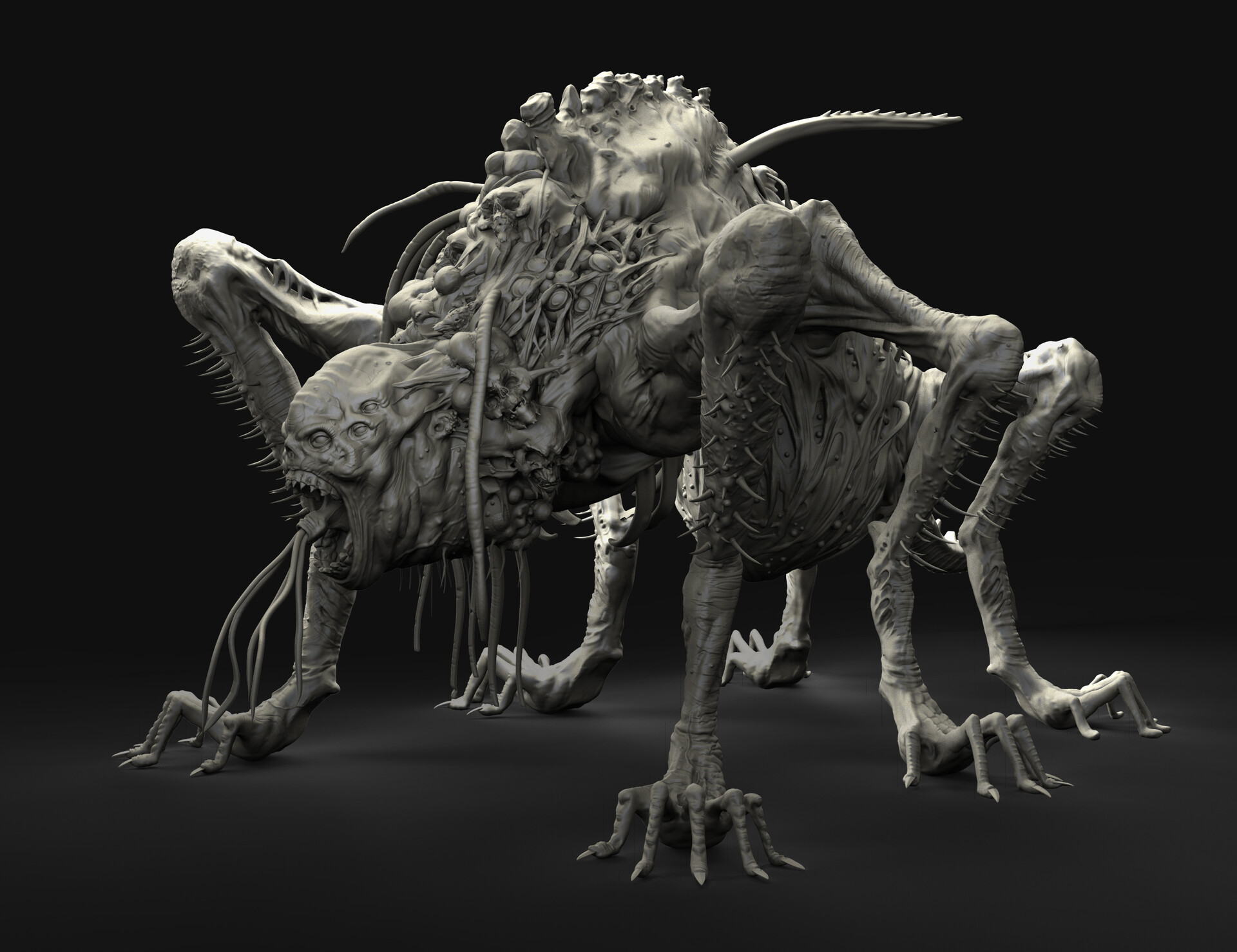 mateusz-baran-2.jpg
