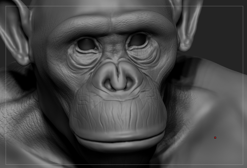 chimp8.png