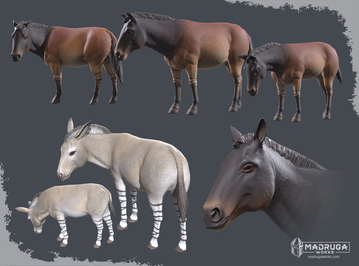 wild_horse