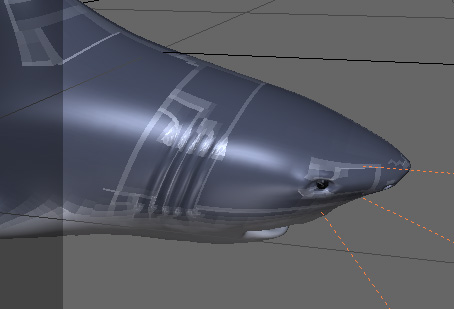 Shark.jpg