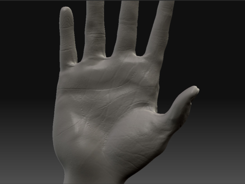 HANDICUS3.jpg