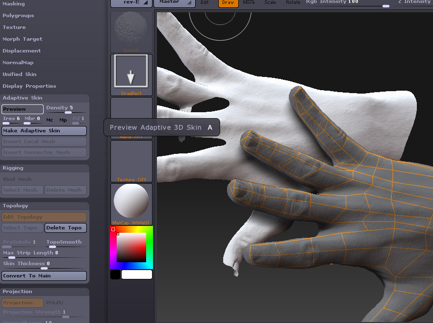 quads in zbrush