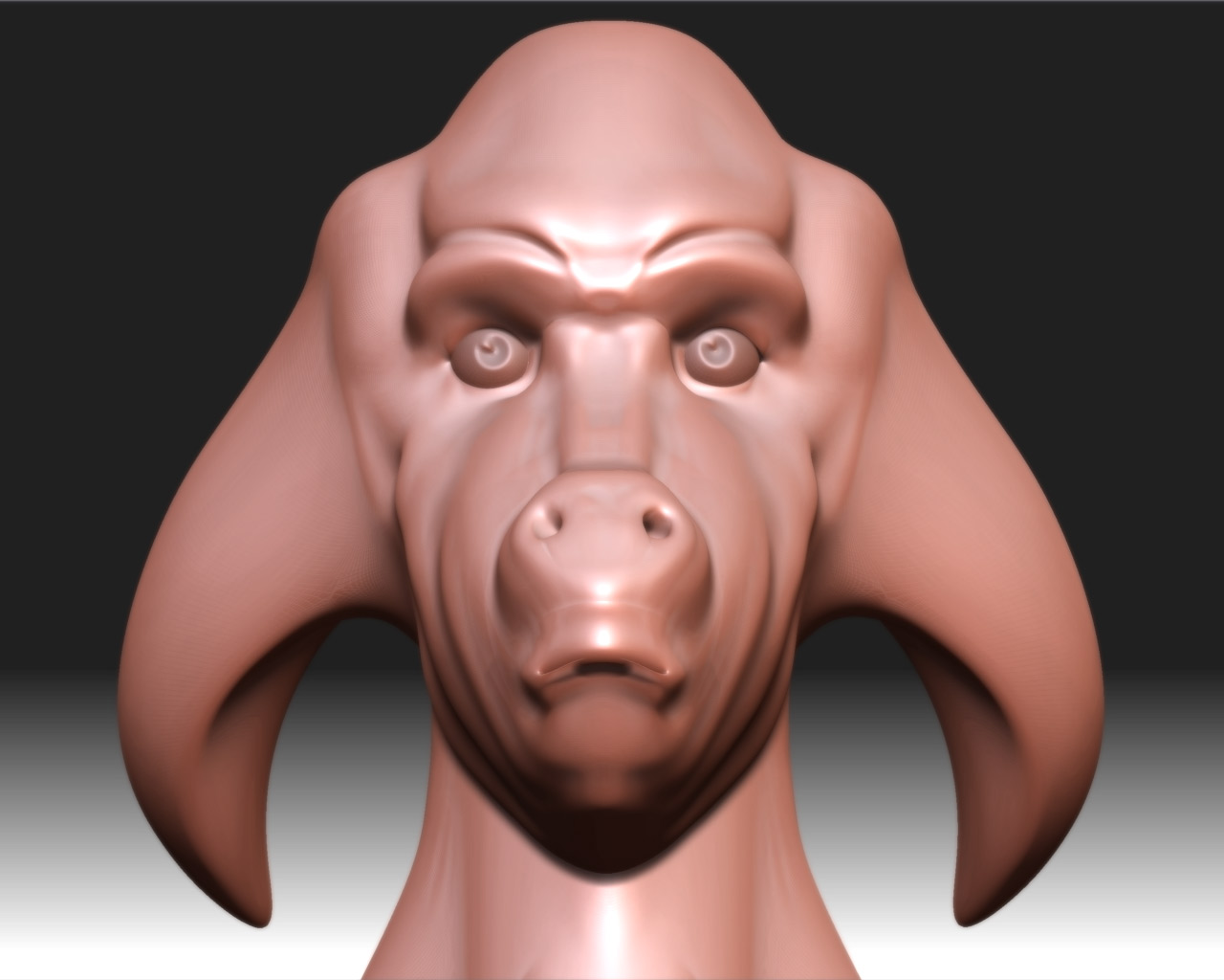 14_surprised.jpg