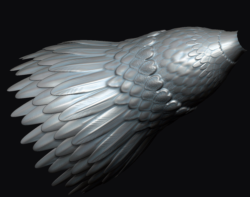 scalefeathertest.jpg