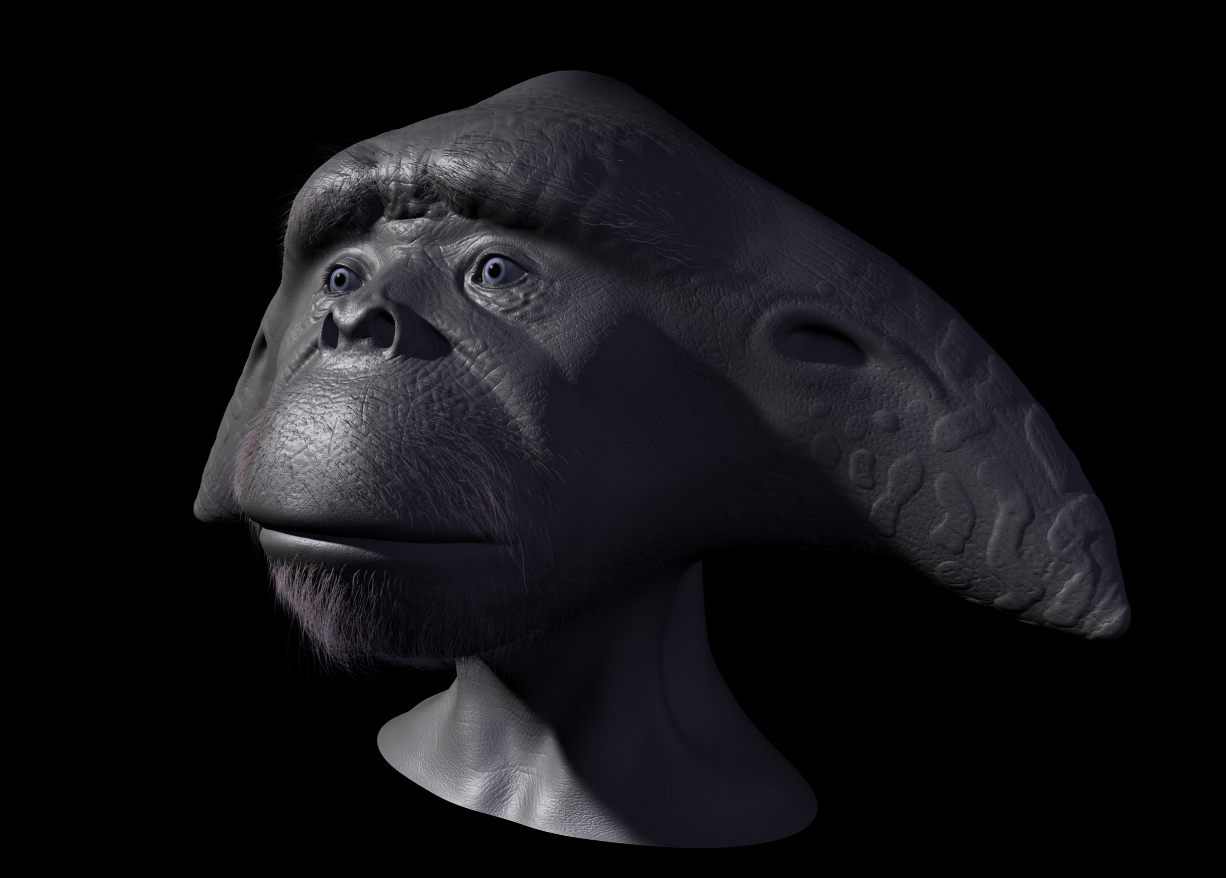 Face.jpg