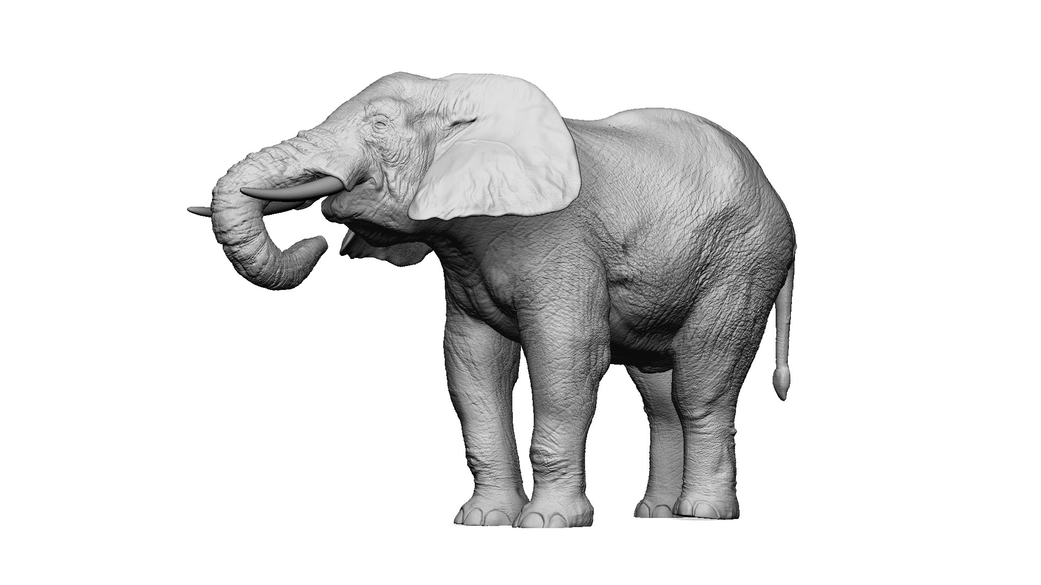 JP_AfricanElephant_pose#4_2KWEB.jpg
