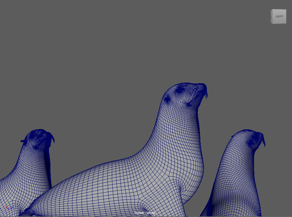wireframe