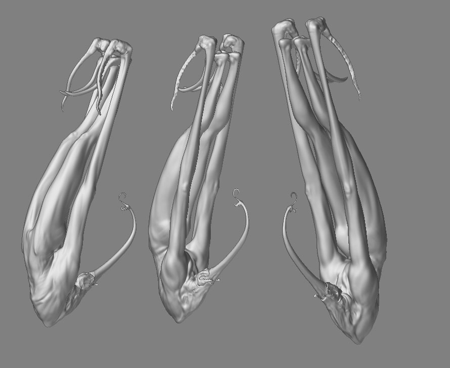 ZBrush Document B.jpg