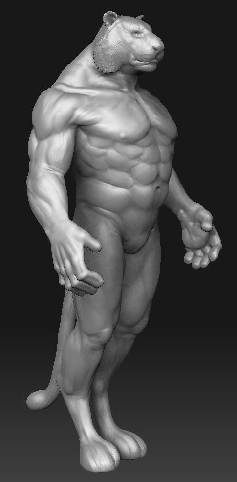 macmesh.jpg