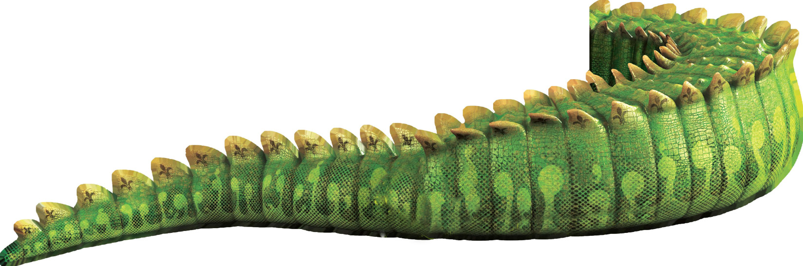 Gator Tail.jpg