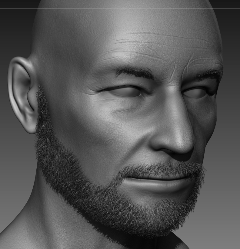 Patrick Stewart - Skin Detail & Beard3.PNG