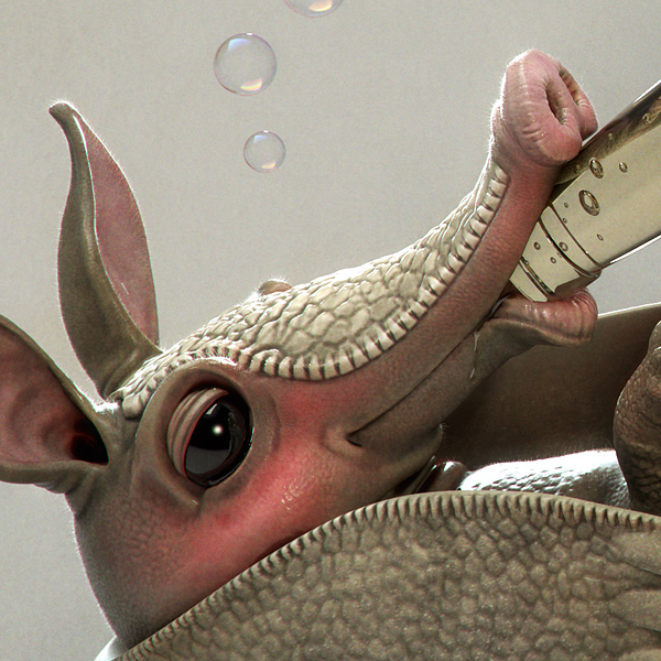 armadillo_detail1.jpg
