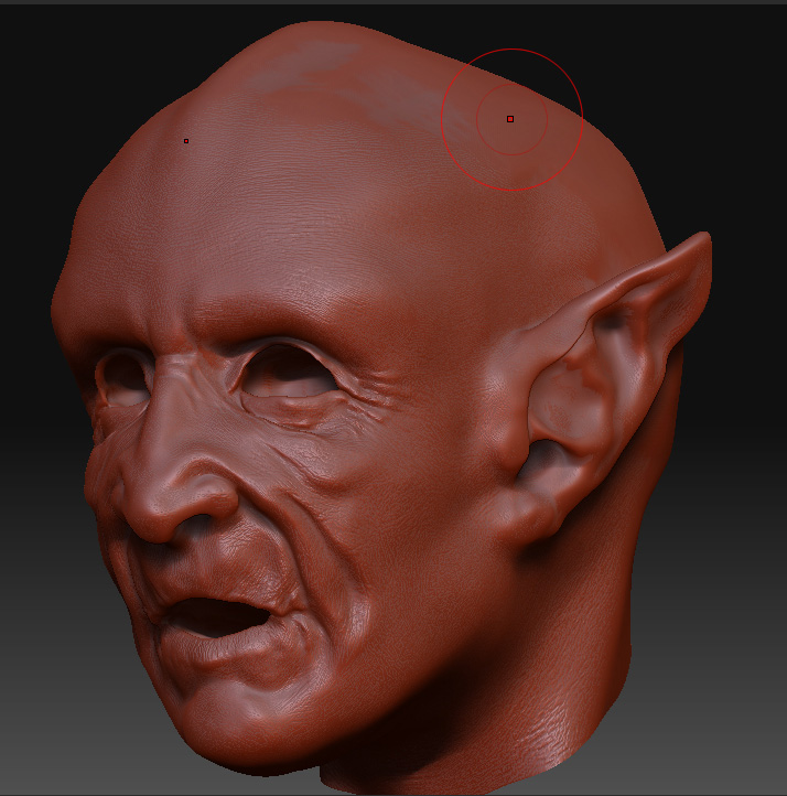 3-Sculpted_Head_ZB.jpg