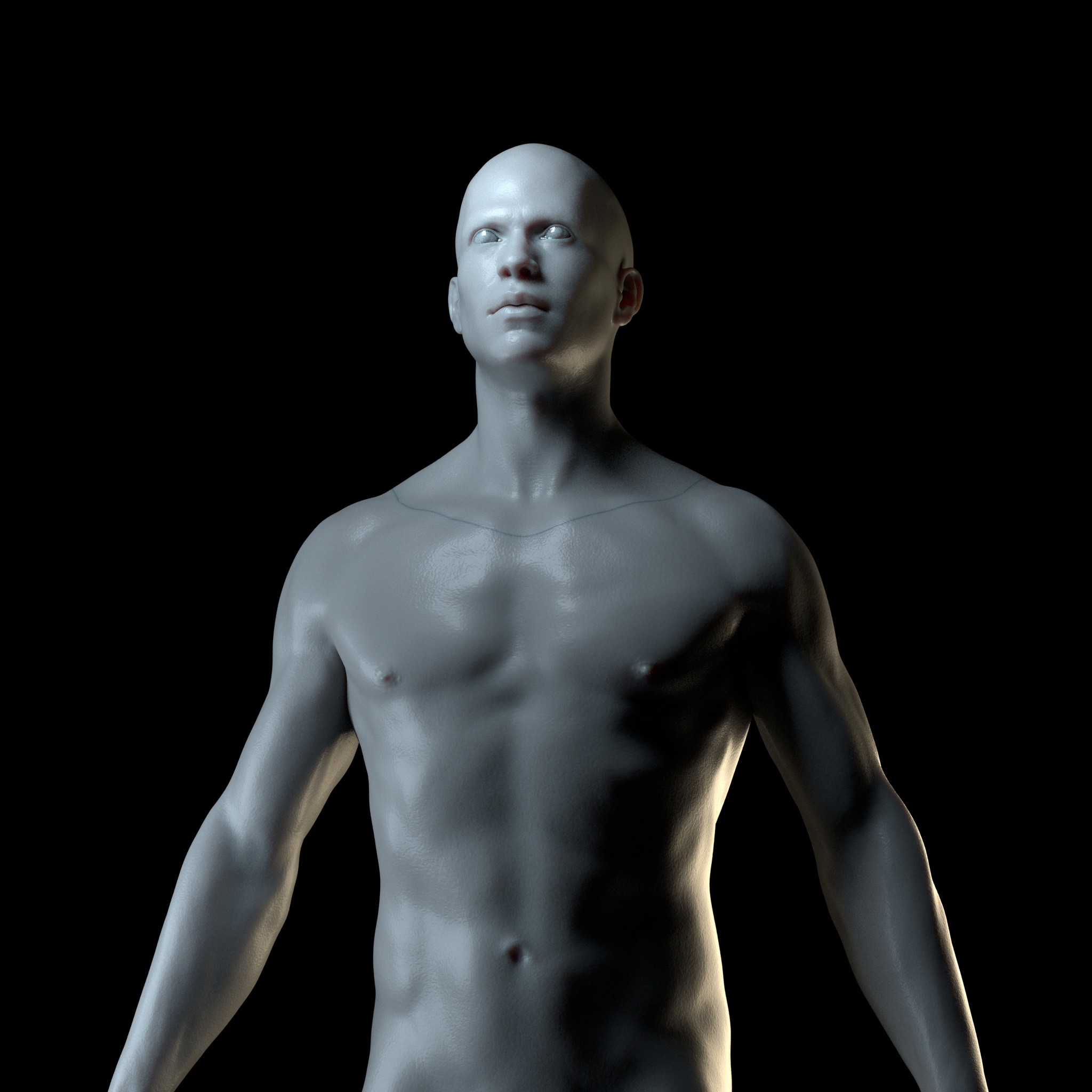 male1.jpg