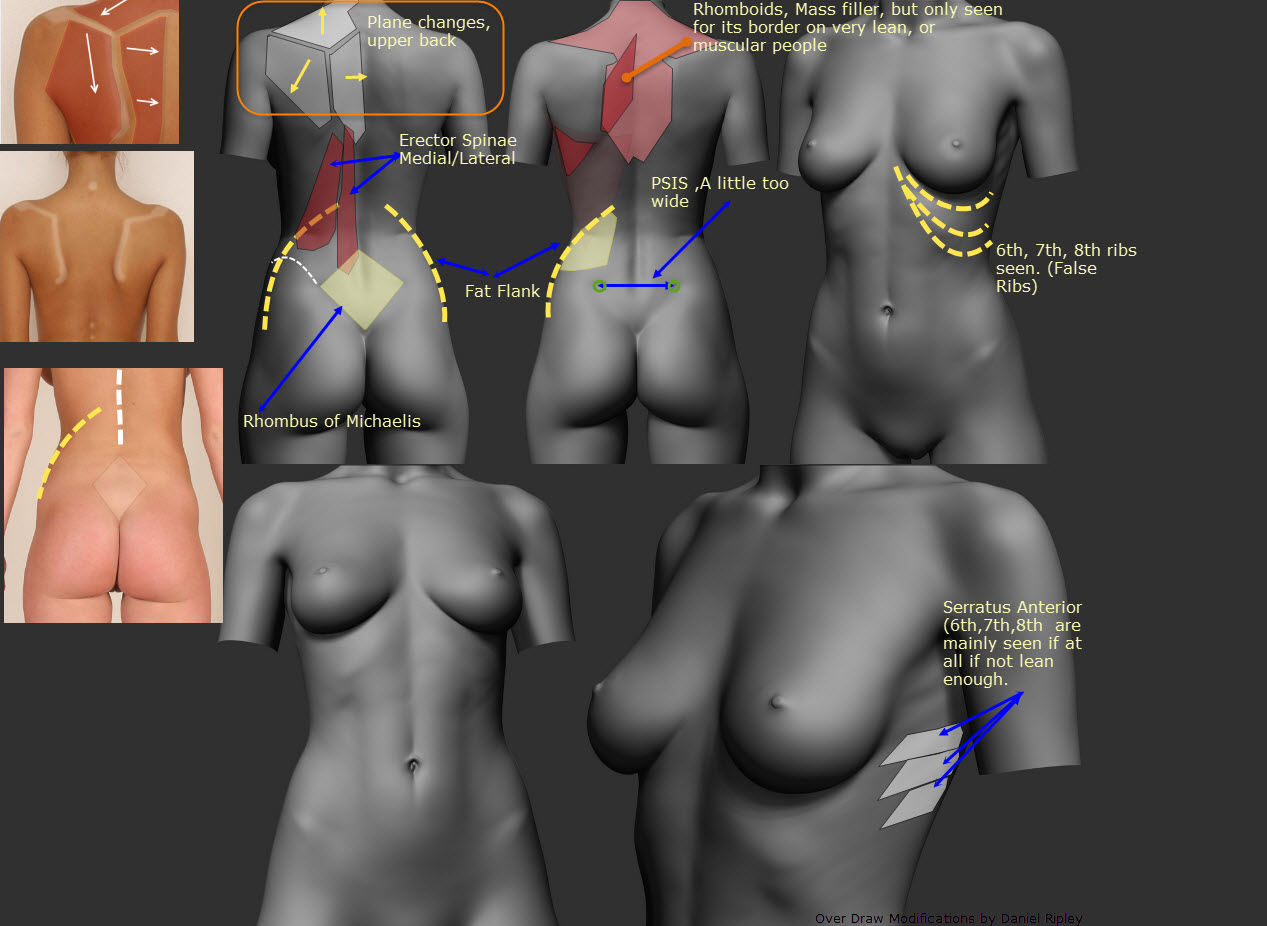 2014-12-16_10-18-50 crit.jpg