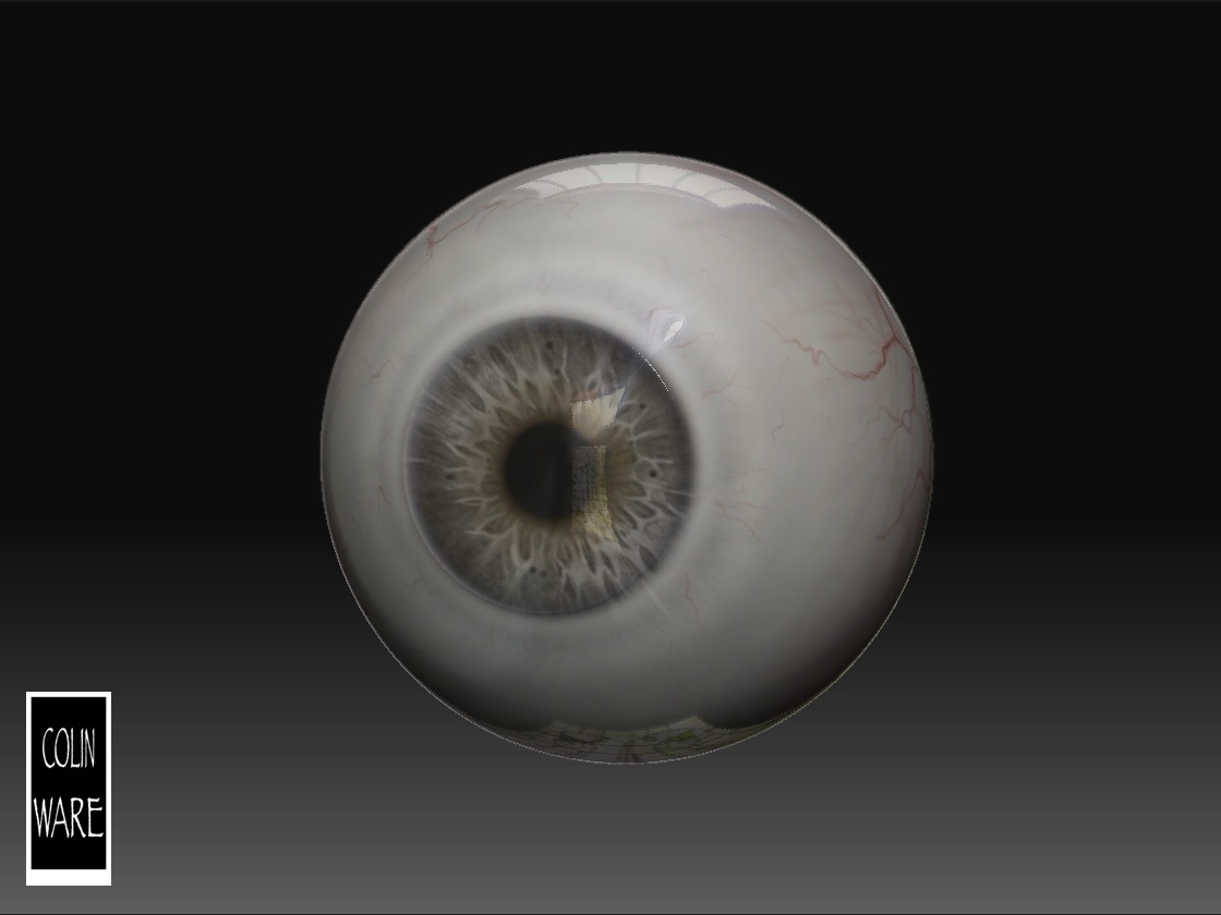 colin_wares_eye_tutorial_2.jpg