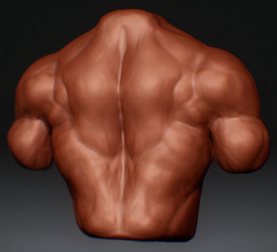 small Second Torso Back ZB.jpg