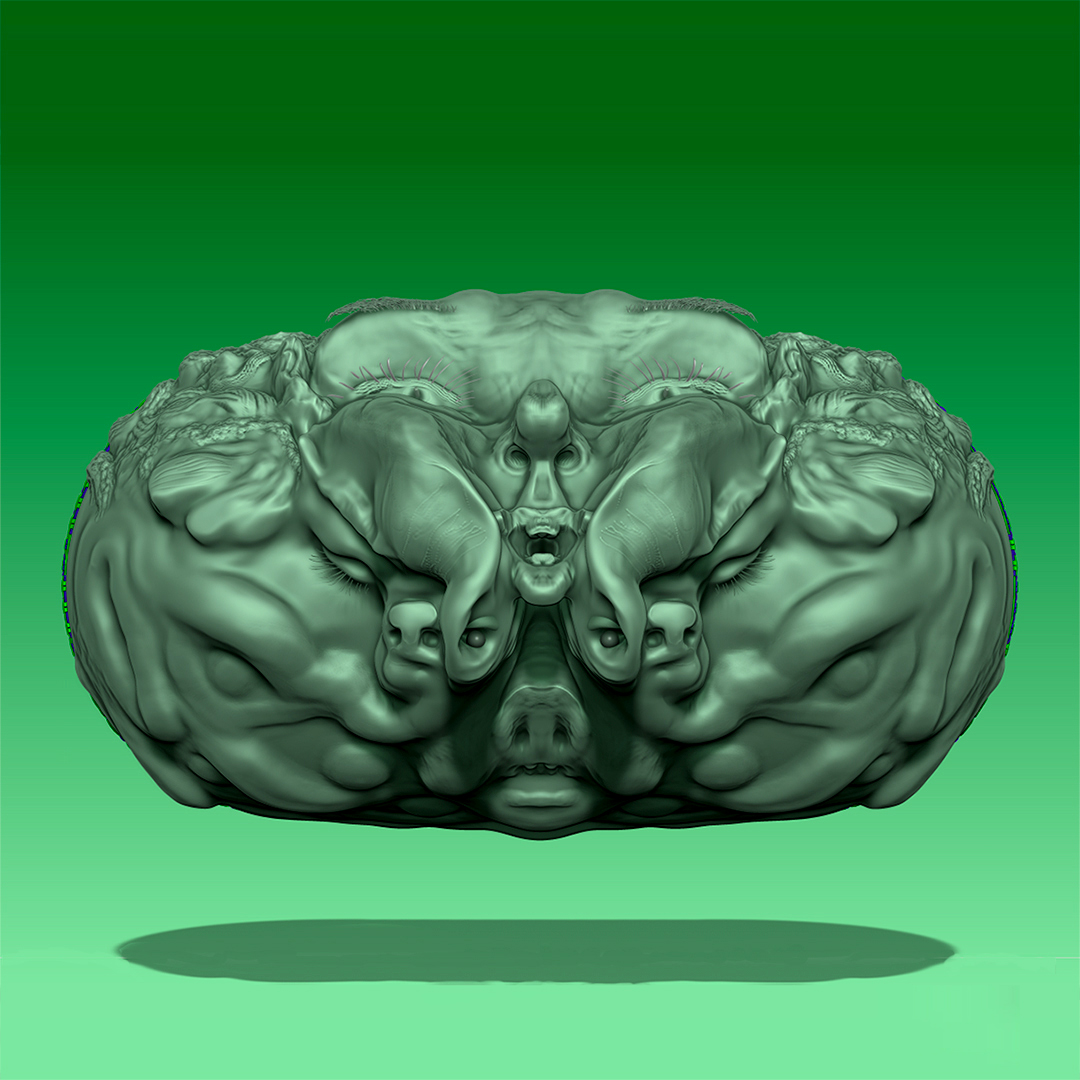 02_Capsule-green-Face2-PIG