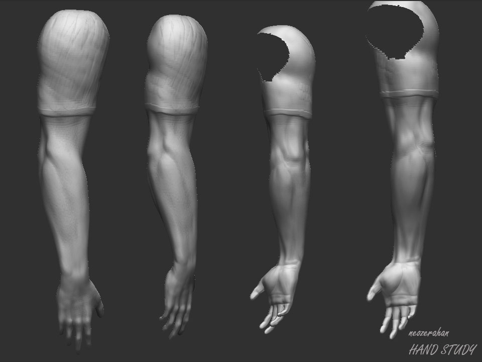 HAND STUDY.jpg