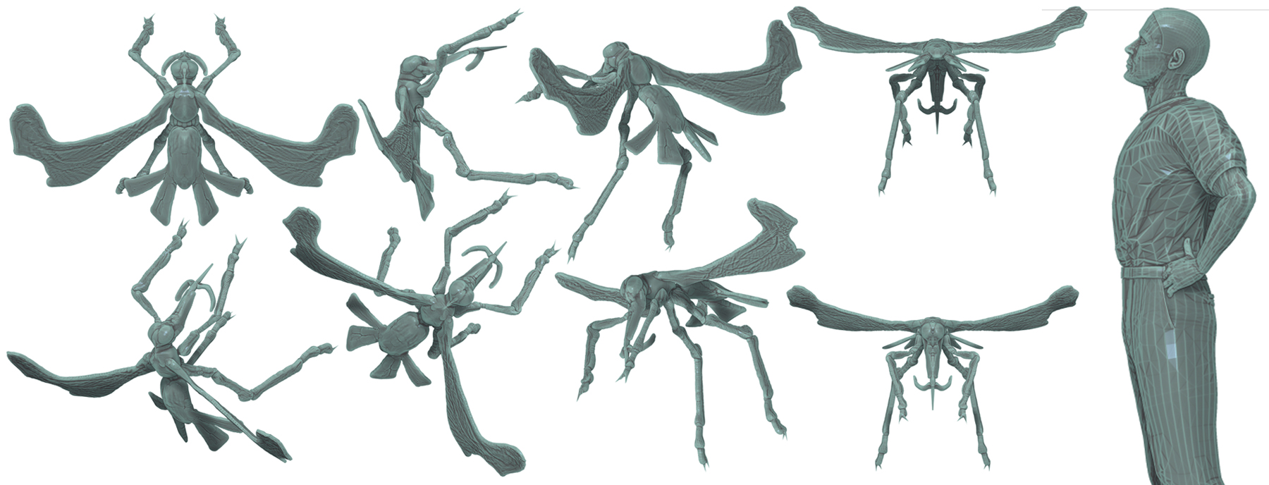 formiculaves 001 s.jpg