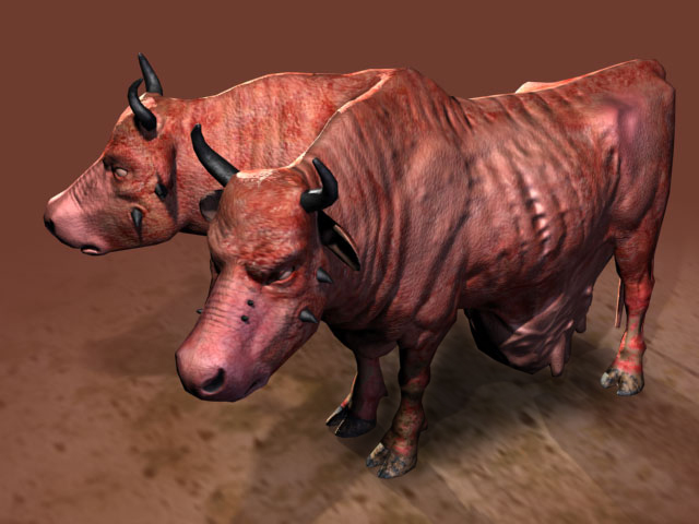 brahmin_2.jpg