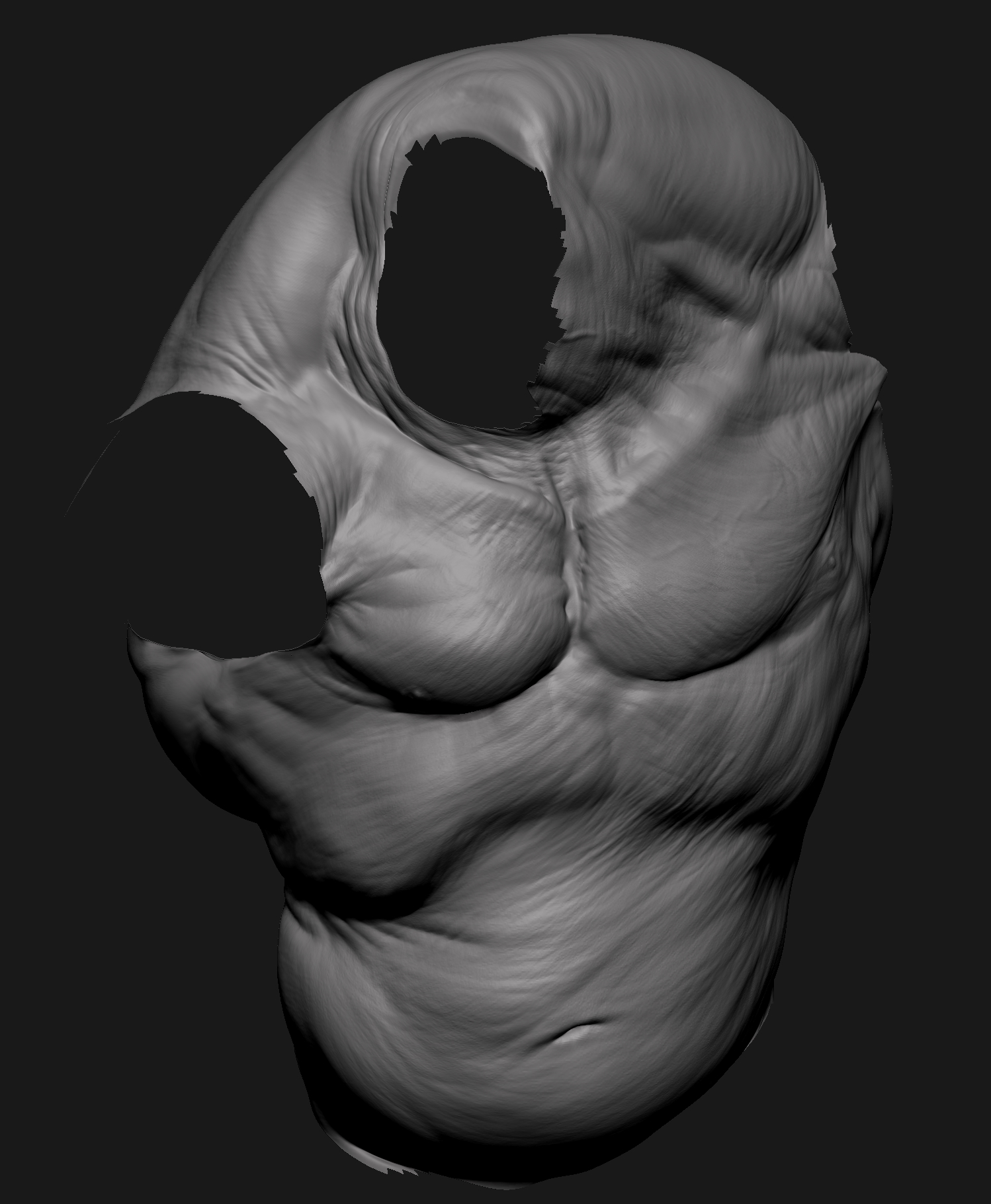 torso_grey_front.jpg