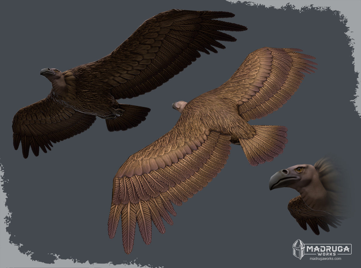 vulture