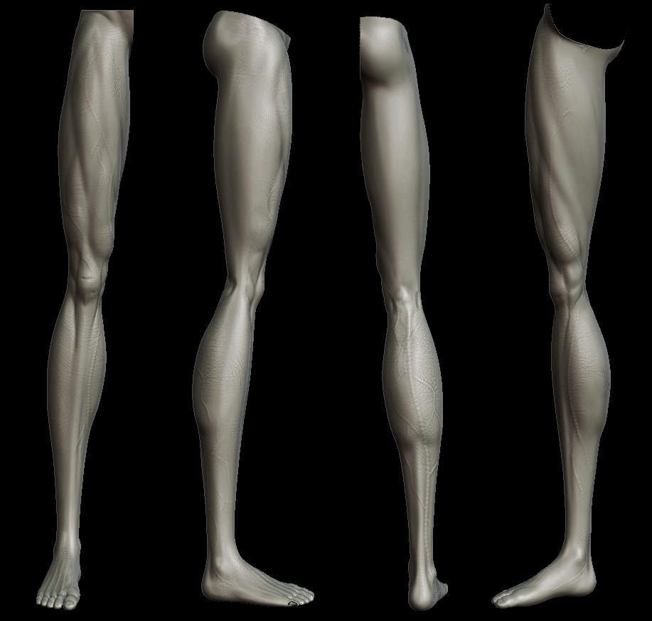legs.jpg