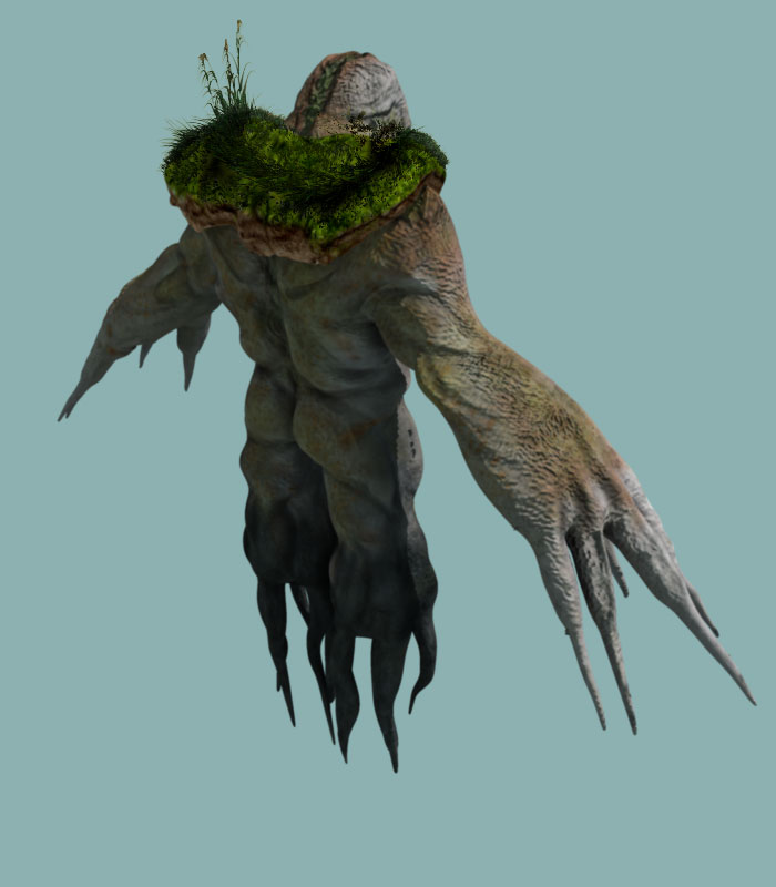 grass2.jpg