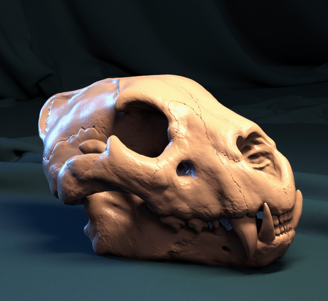skull_03