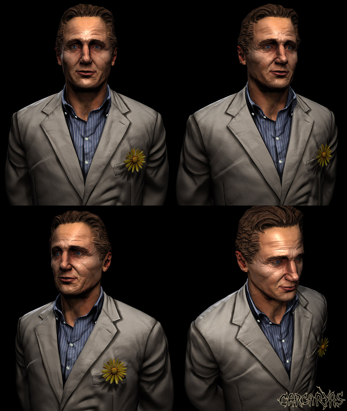 3D_24_02_carcaryas.jpg