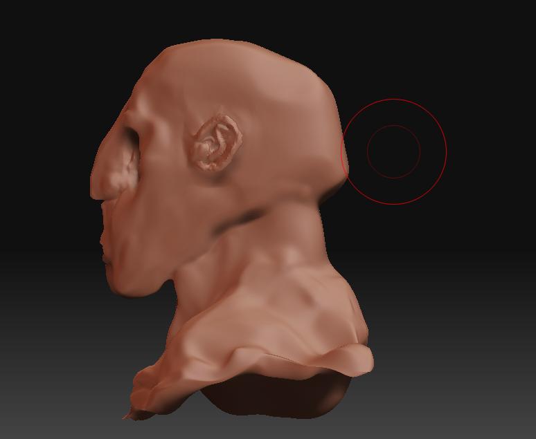 Bust7Side.jpg