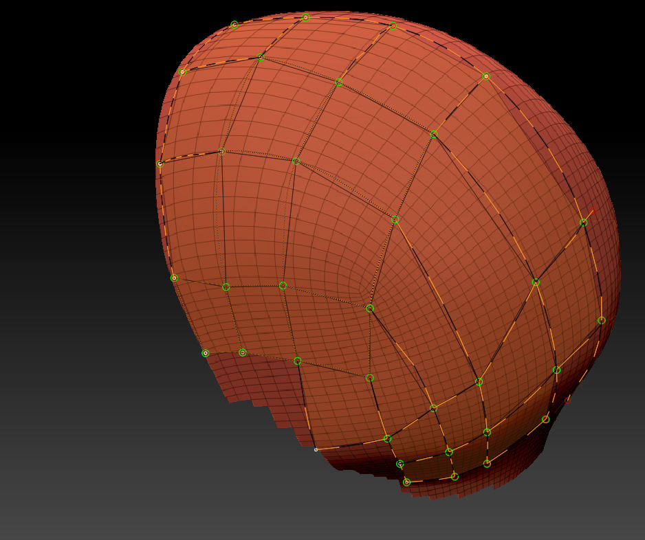 backhead_topo.jpg