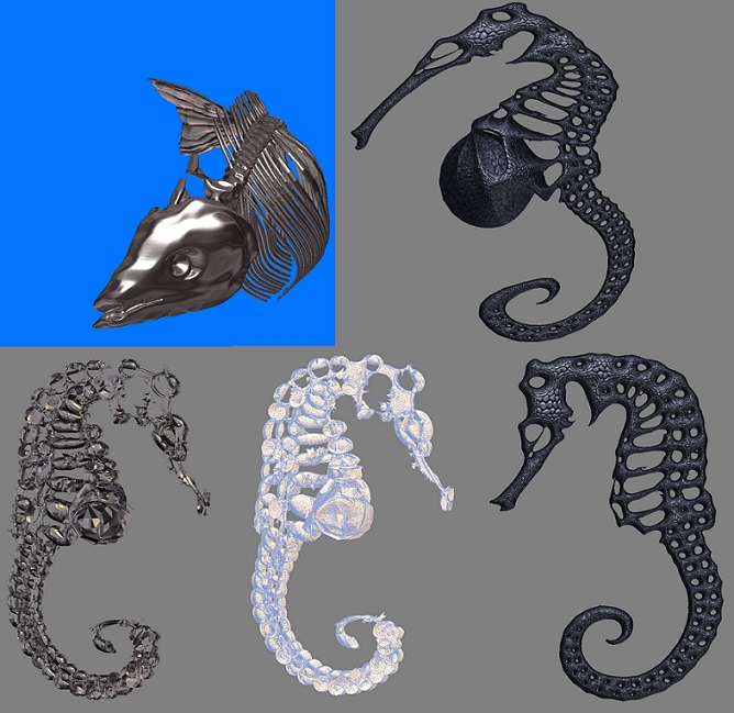 seahorse200k.jpg