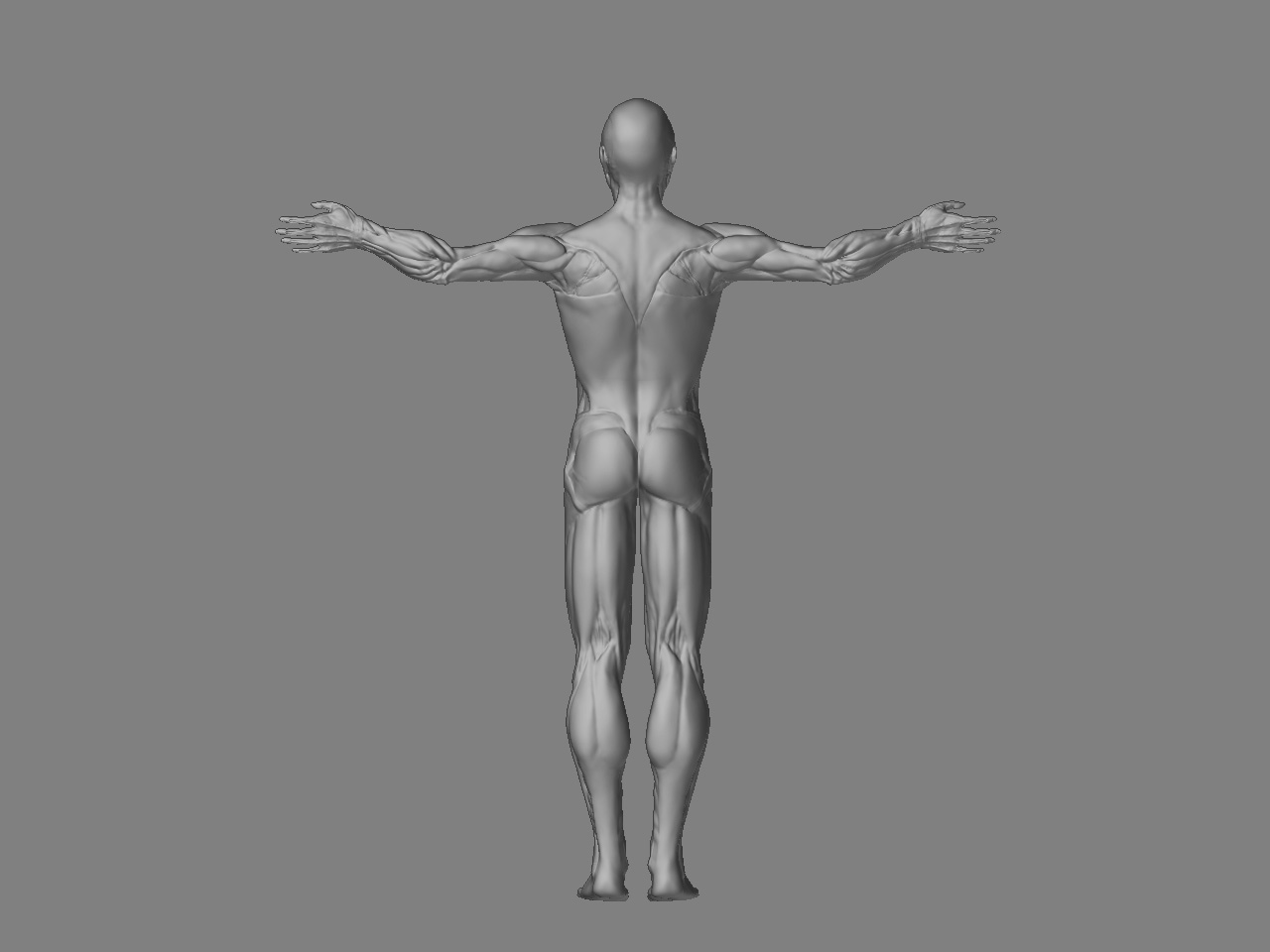 back.jpg