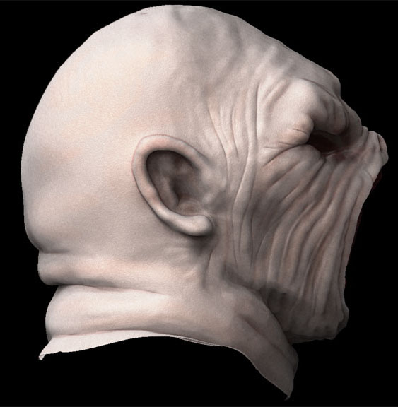 headprof.jpg