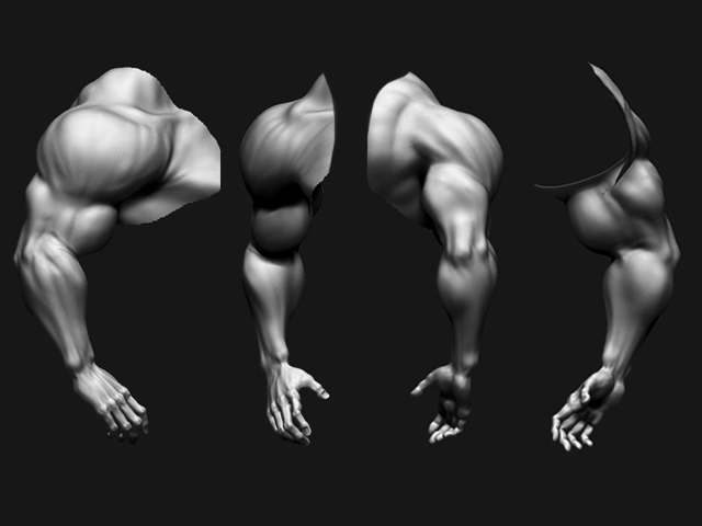 arms.jpg