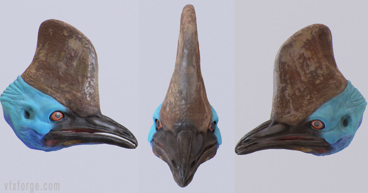 casso_7.jpg