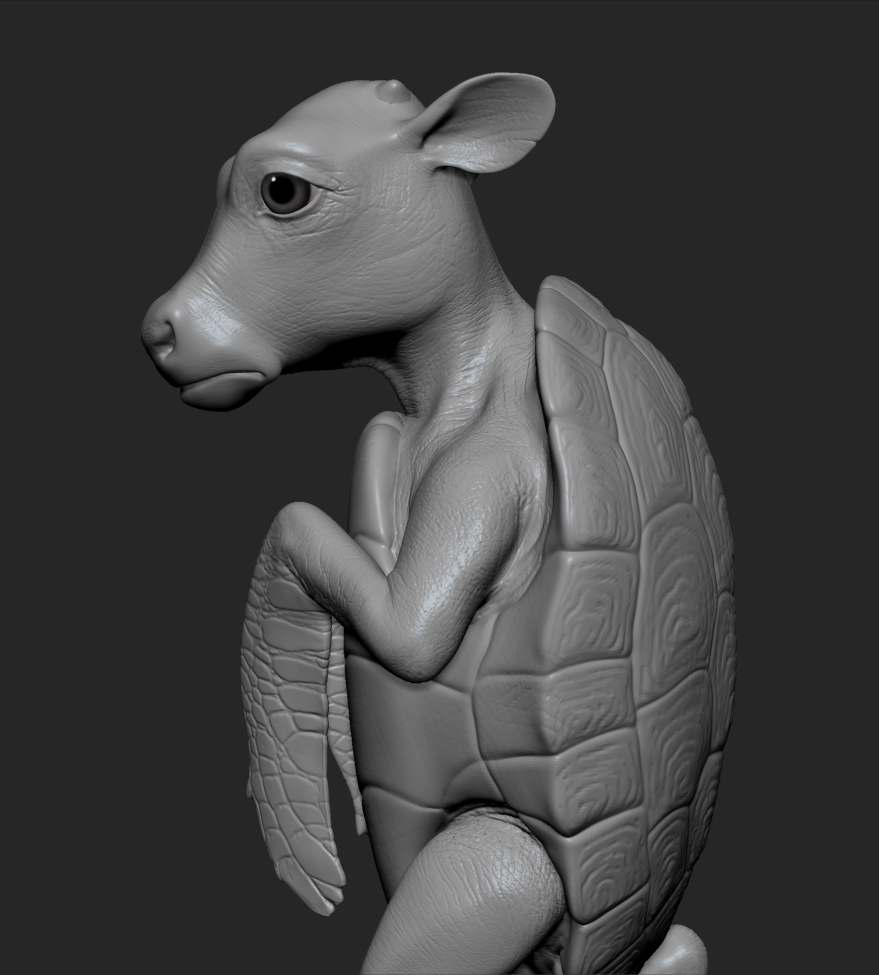 MockTurtle_Close_01.jpg