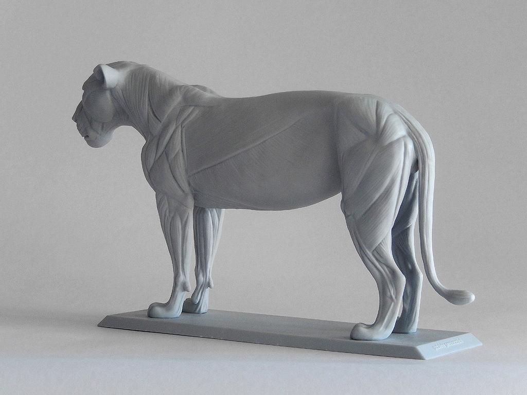 side_back_01.jpg