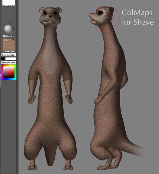 col.jpg