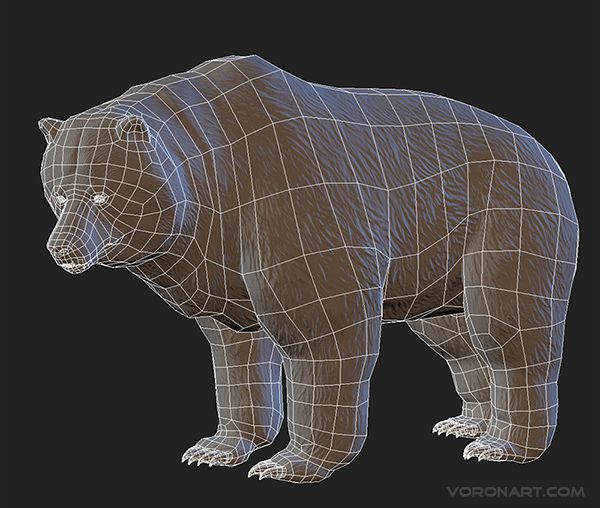 3d-bear-animated-02.jpg