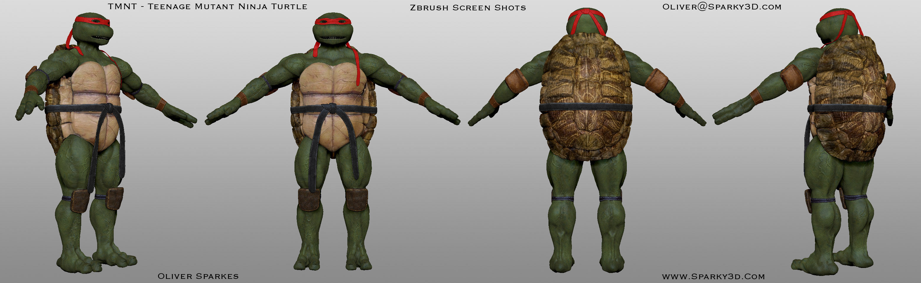 _turtle_multi_views_Colour_smaller.jpg