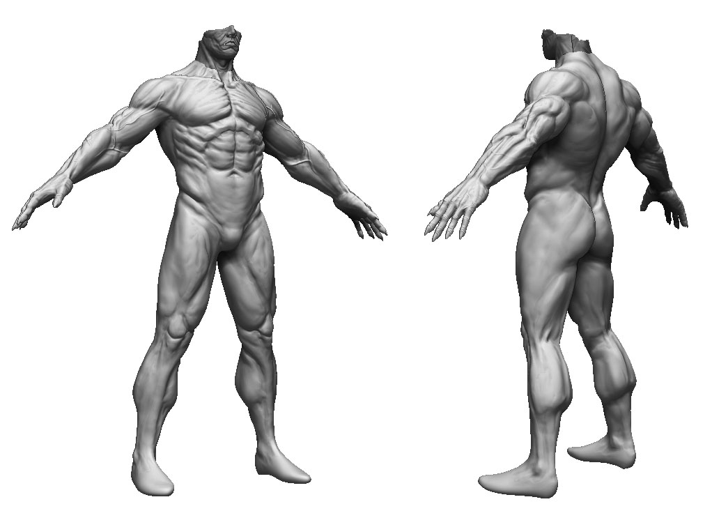 ANATOMY.jpg
