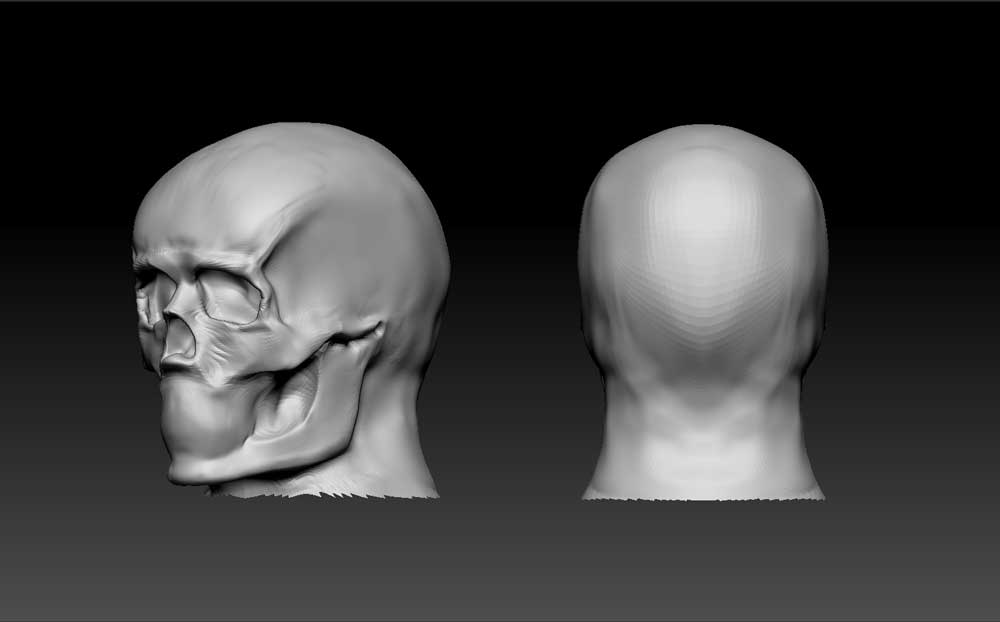 skull2.jpg