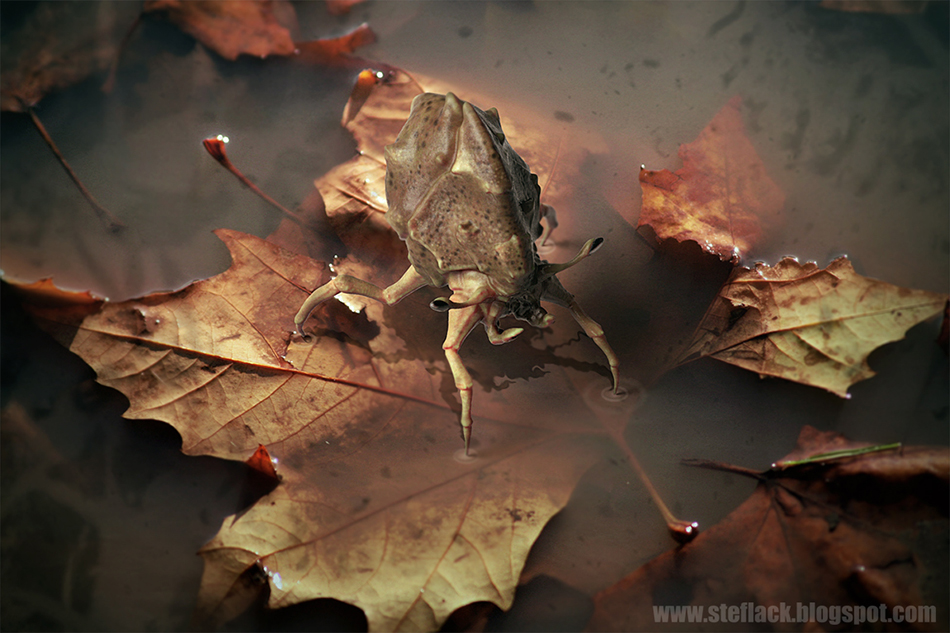creature07small.jpg
