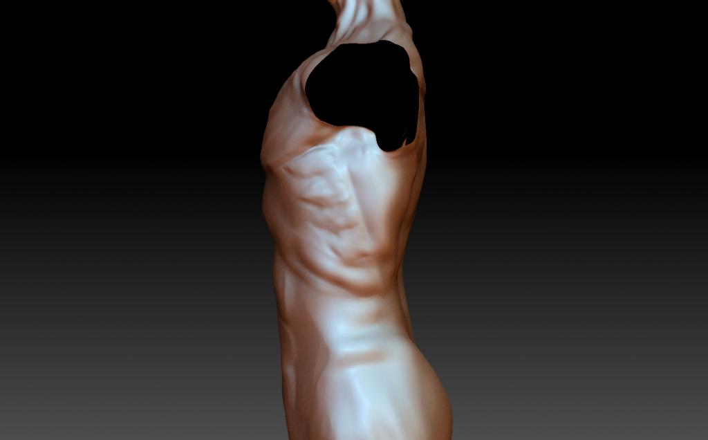 Anatomybodyside_zps8a1f526b.jpg